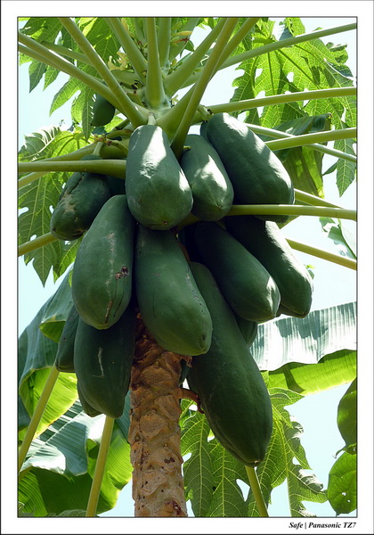 2012 - 03 - Koh Lanta 33